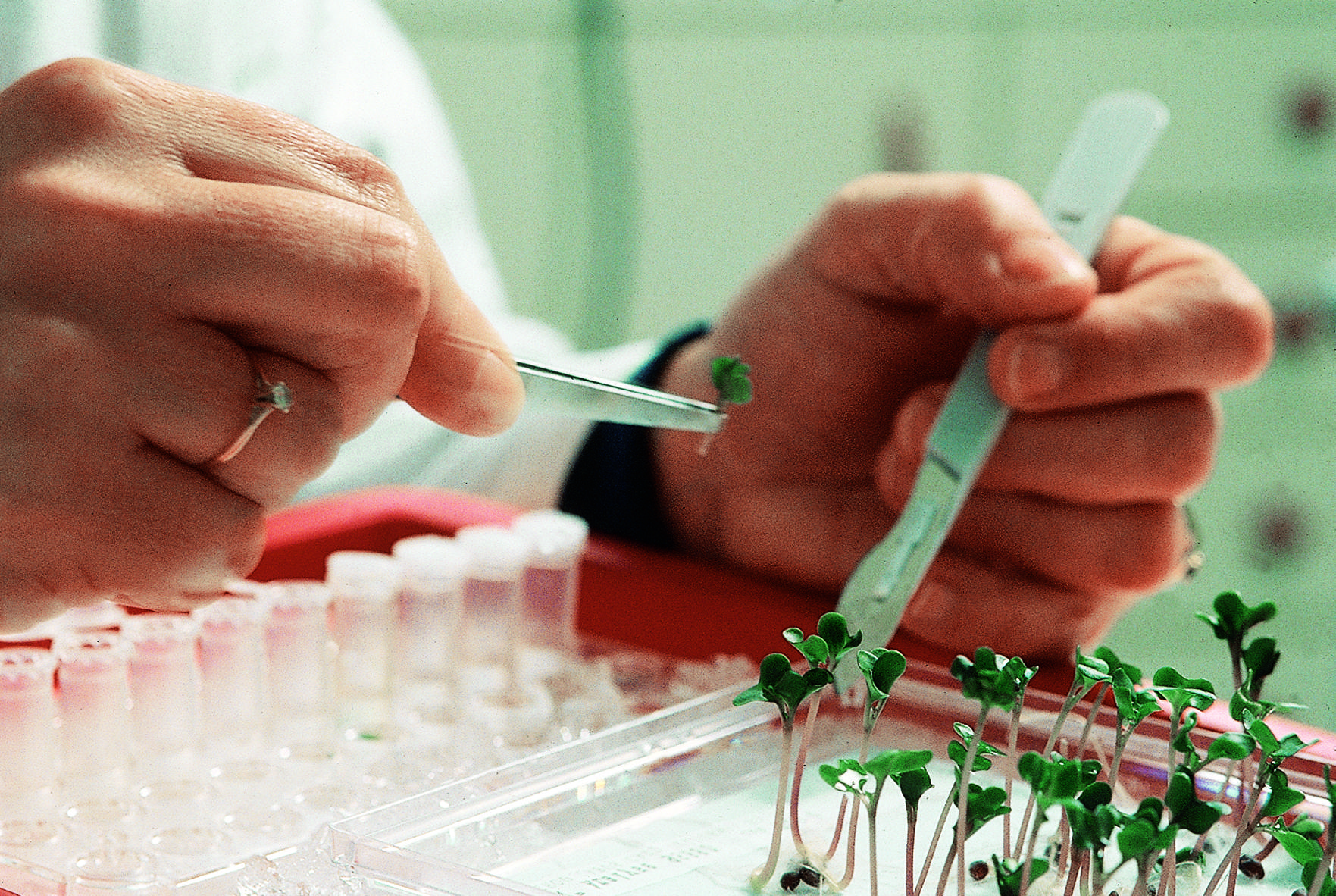 Laboratório de Biologia em funcionamento